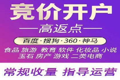 行业报告：专业SEM托管的成功实践与挑战
